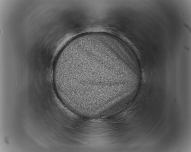 X0000100841416200807111140