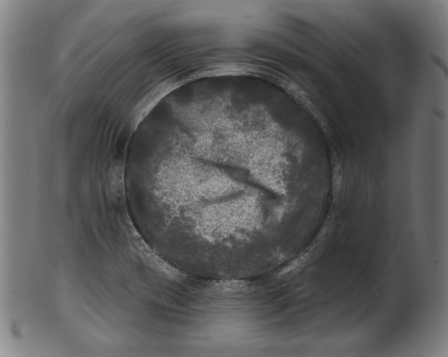 X0000100841417200807111140