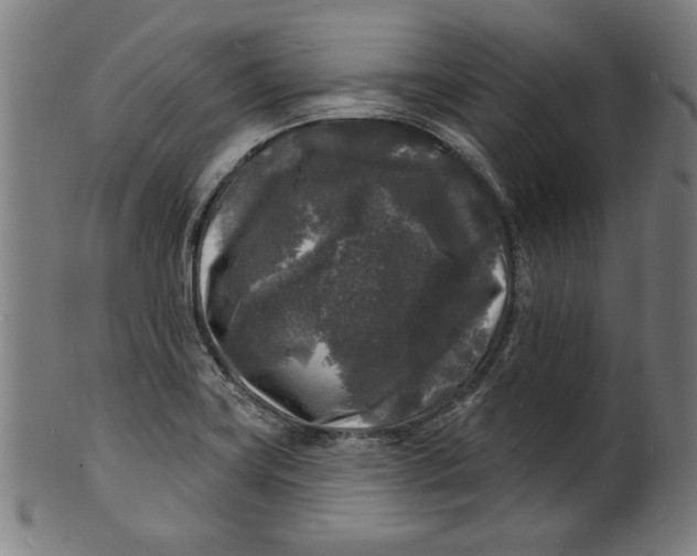 X0000100841419200807111140