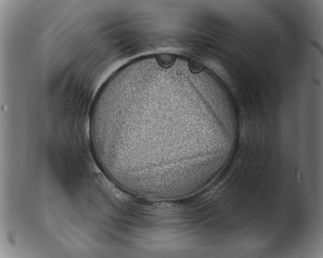 X0000100841420200807111140