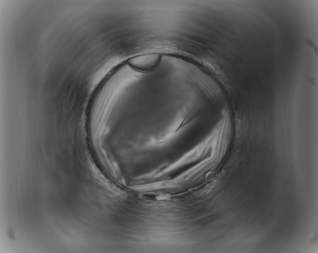 X0000100841422200807111140