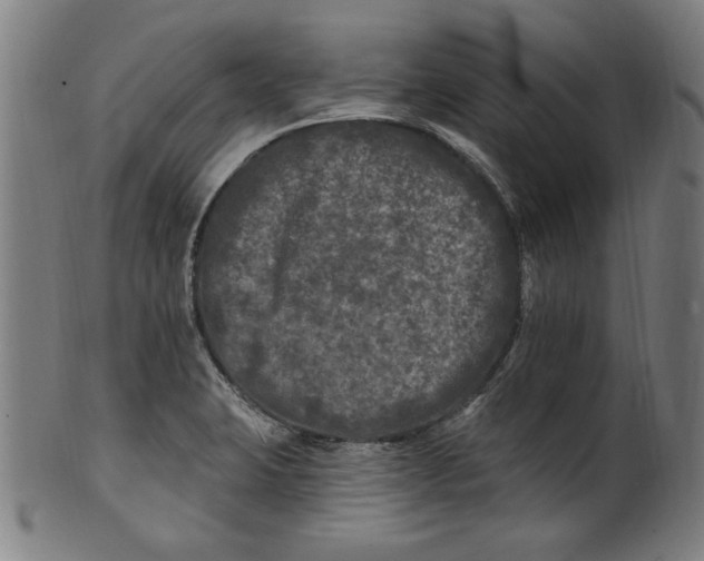 X0000100841423200807111140