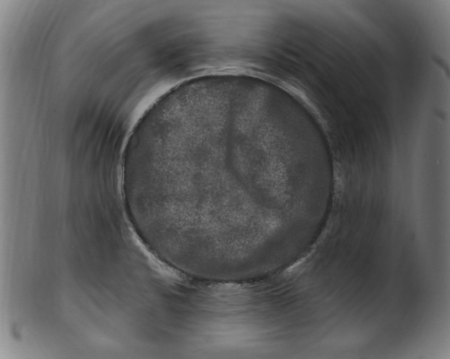 X0000100841424200807111140