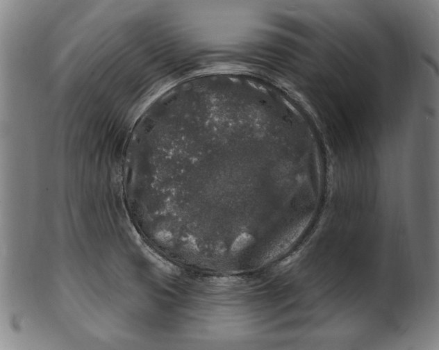 X0000100841425200807111140