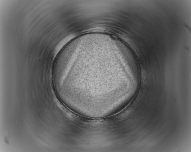 X0000100841426200807111140