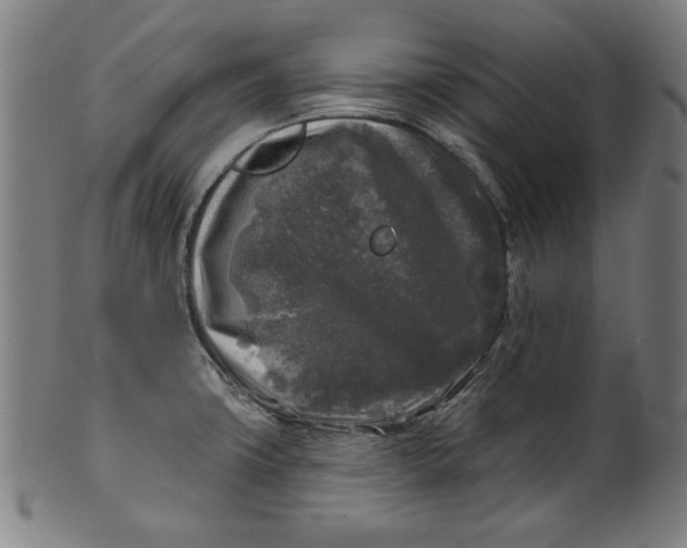 X0000100841427200807111140