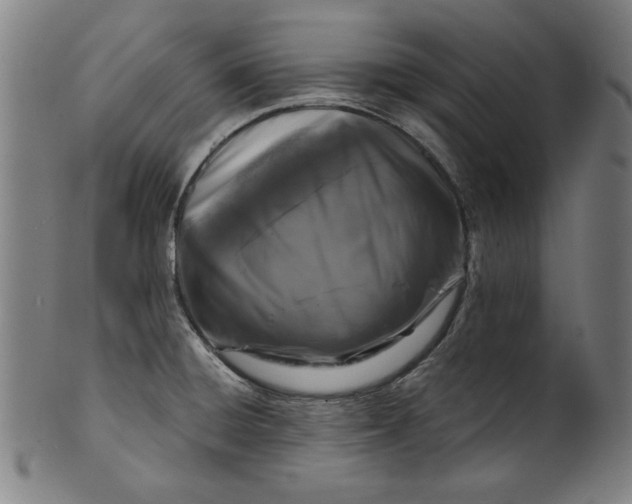 X0000100841428200807111140