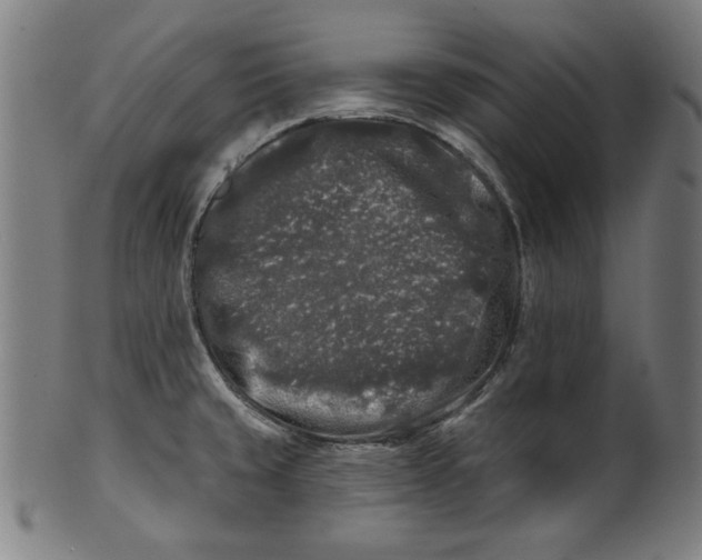 X0000100841429200807111140