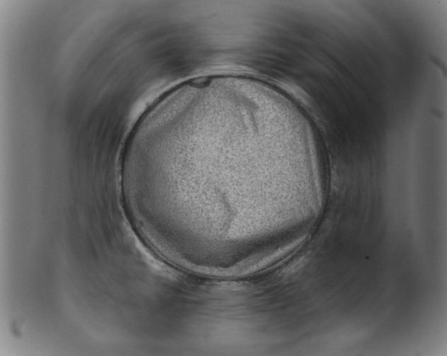 X0000100841430200807111140