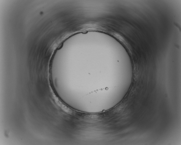 X0000100841431200807111140