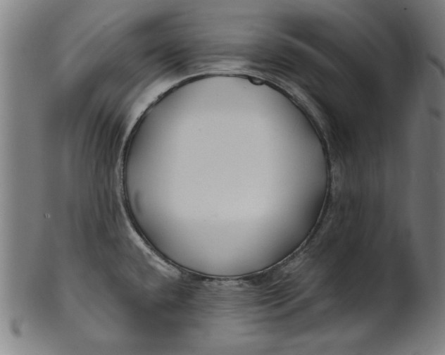 X0000100841432200807111140