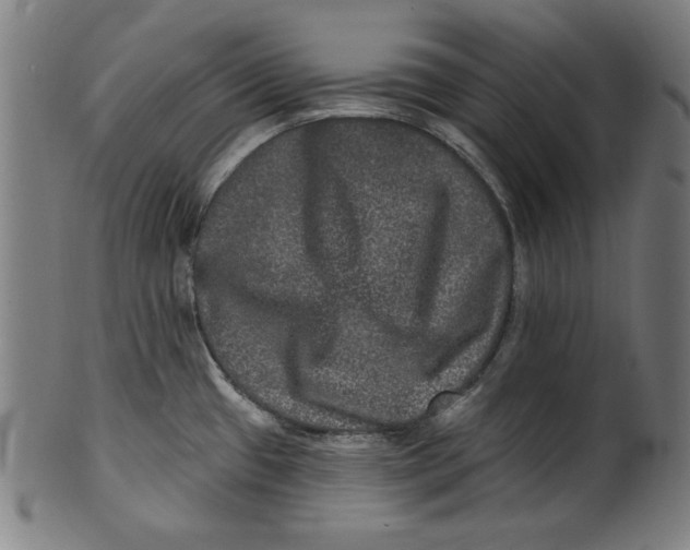 X0000100841433200807111140