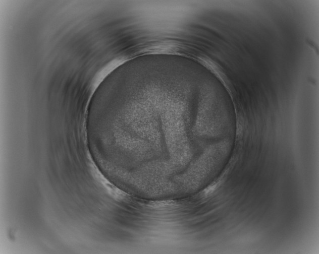 X0000100841434200807111140