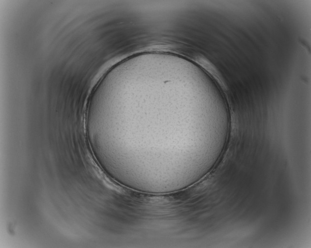 X0000100841436200807111140