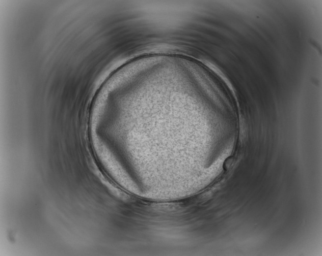 X0000100841437200807111140