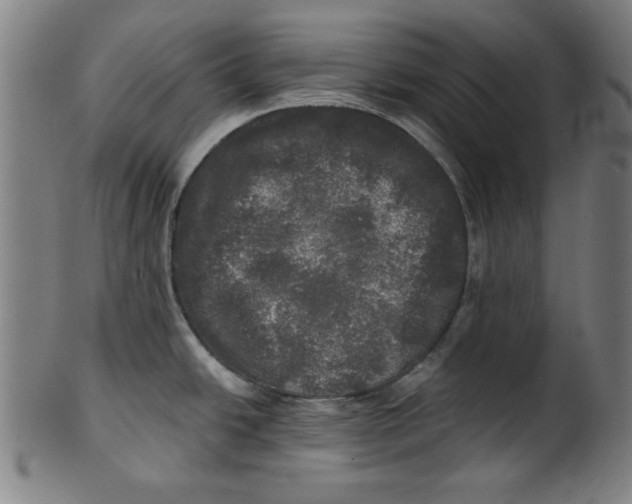 X0000100841438200807111140