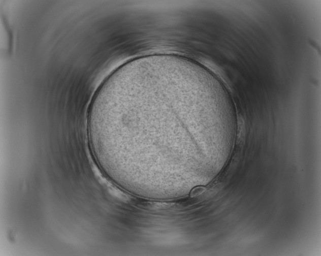 X0000100841439200807111140