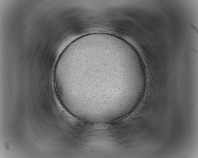 X0000100841440200807111140