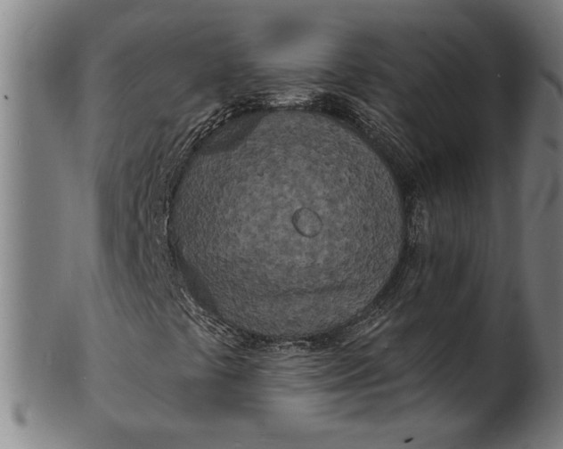 X0000100841441200807111140