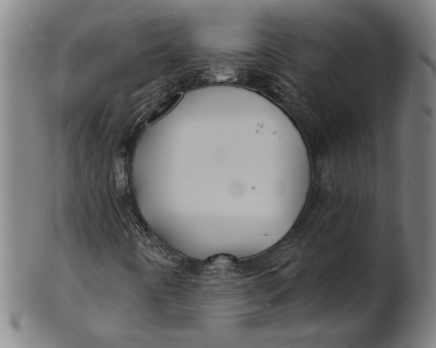 X0000100841442200807111140