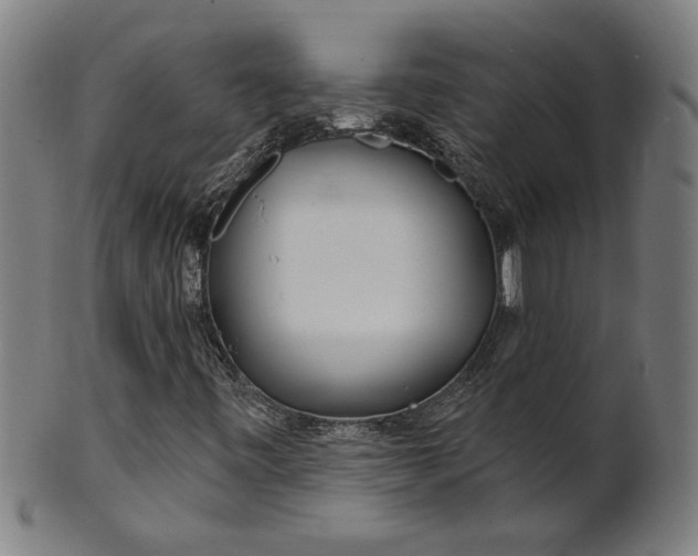 X0000100841443200807111140