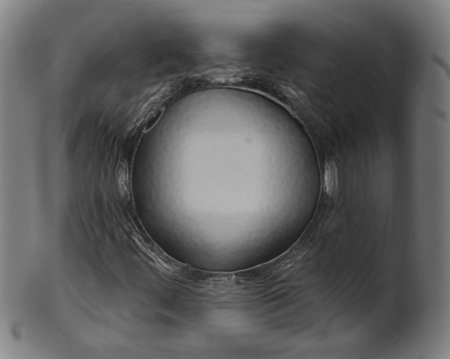 X0000100841444200807111140