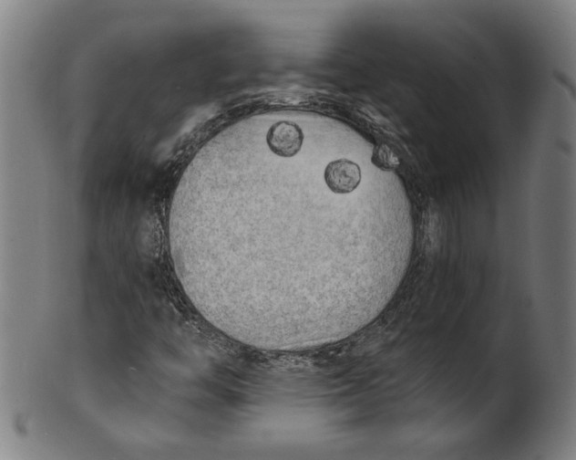 X0000100841446200807111140