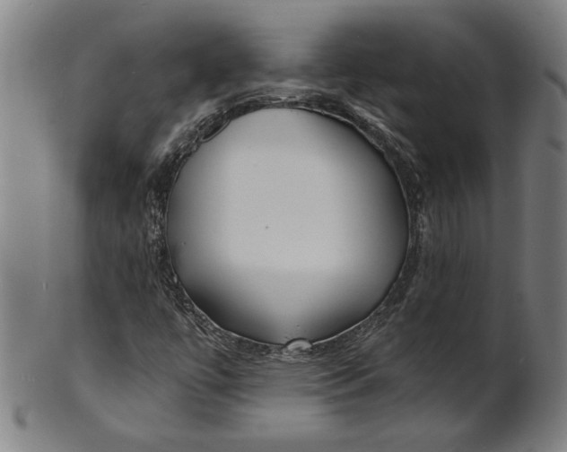 X0000100841447200807111140