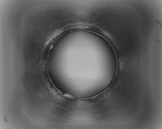 X0000100841448200807111140