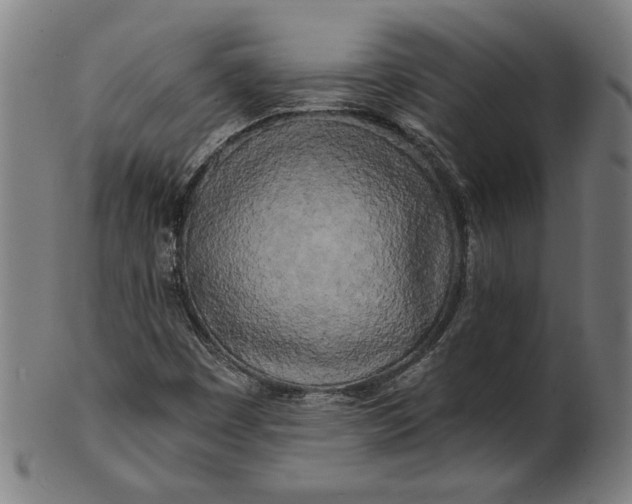 X0000100841449200807111139