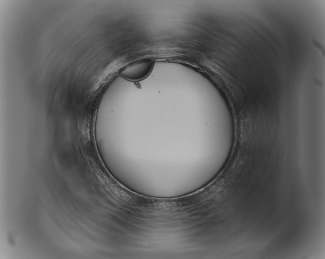 X0000100841451200807111139