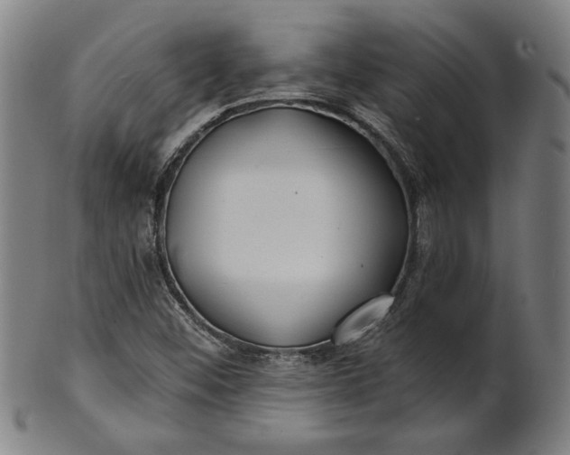 X0000100841452200807111139