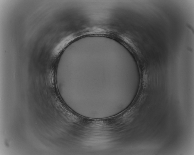 X0000100841455200807111139