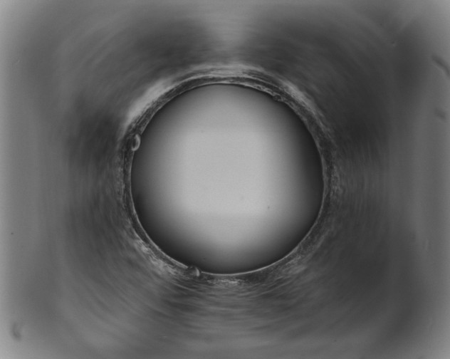 X0000100841456200807111139