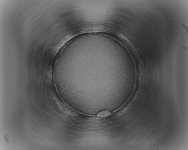 X0000100841457200807111139