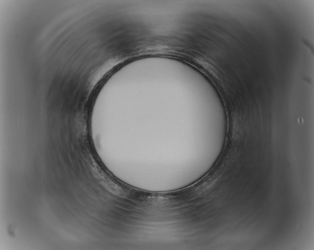 X0000100841458200807111139