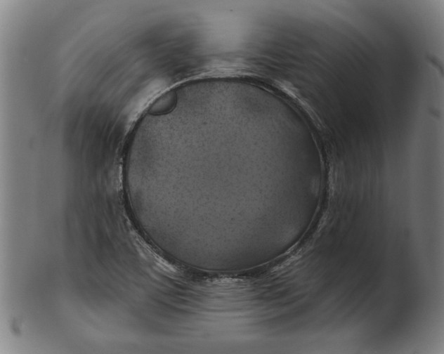 X0000100841459200807111139