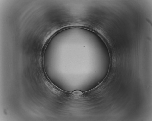 X0000100841460200807111139