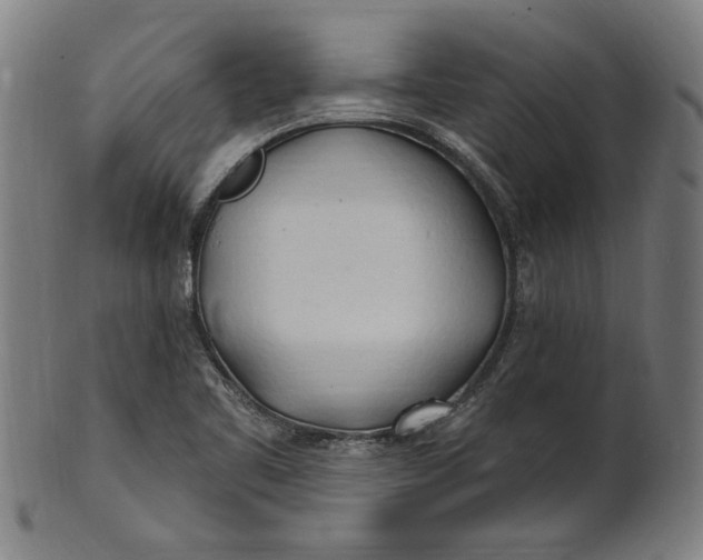 X0000100841461200807111139