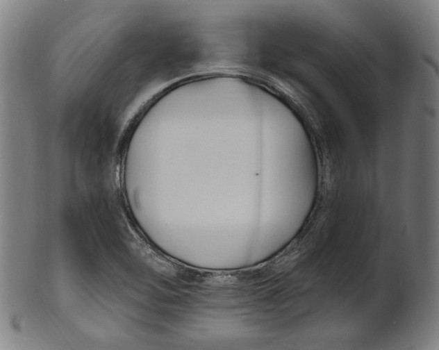 X0000100841462200807111139