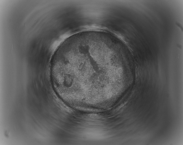 X0000100841463200807111139