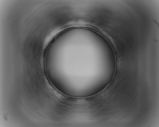 X0000100841464200807111139