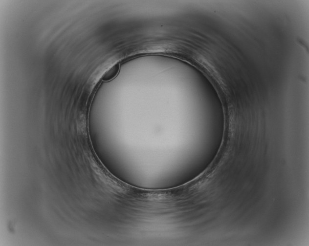 X0000100841465200807111139