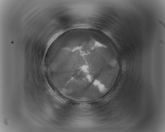 X0000100841466200807111139