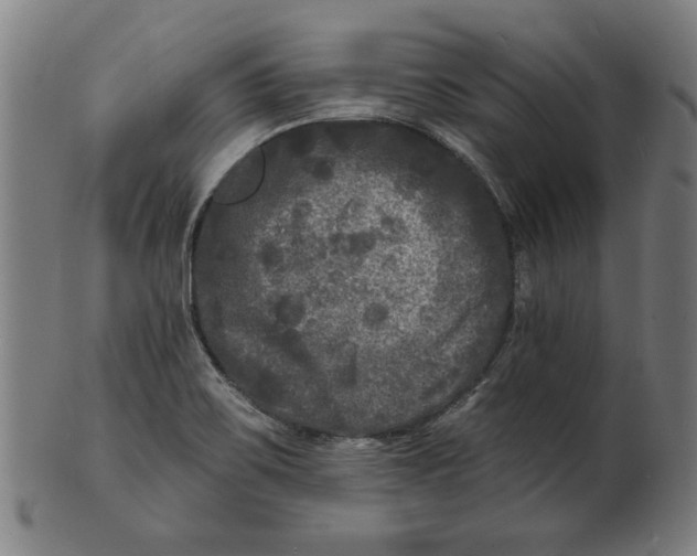 X0000100841467200807111139