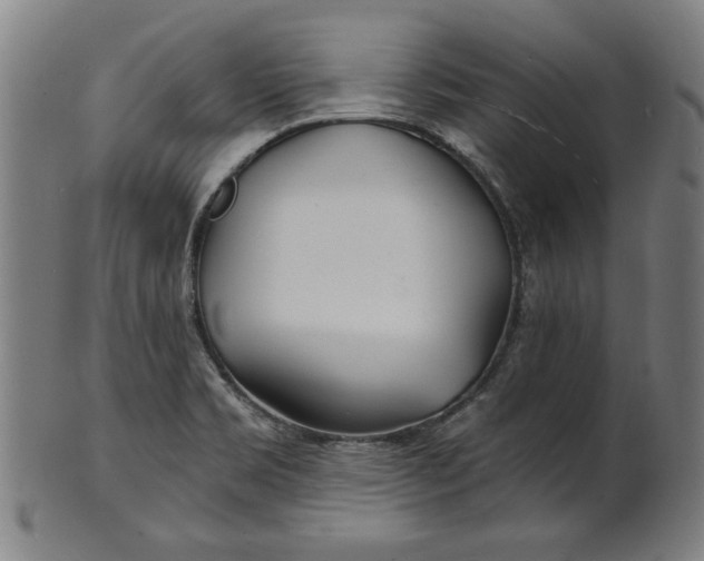 X0000100841469200807111139