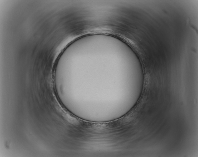 X0000100841470200807111139