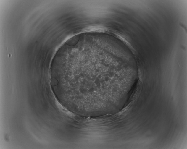 X0000100841471200807111139