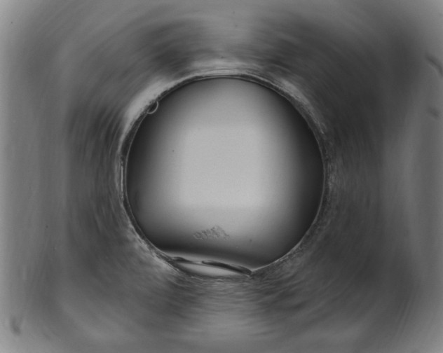 X0000100841472200807111139