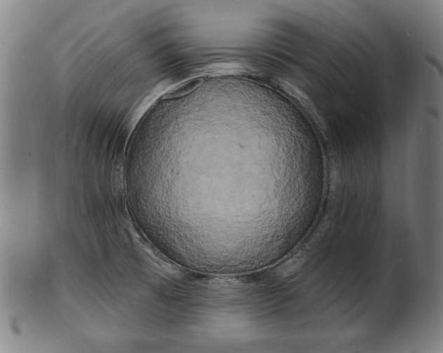 X0000100841473200807111139